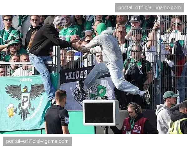 因球迷不当标语，德国足协对一家德乙俱乐部展开调查